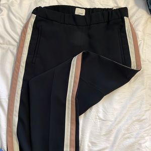 Aritzia Babaton cropped pants